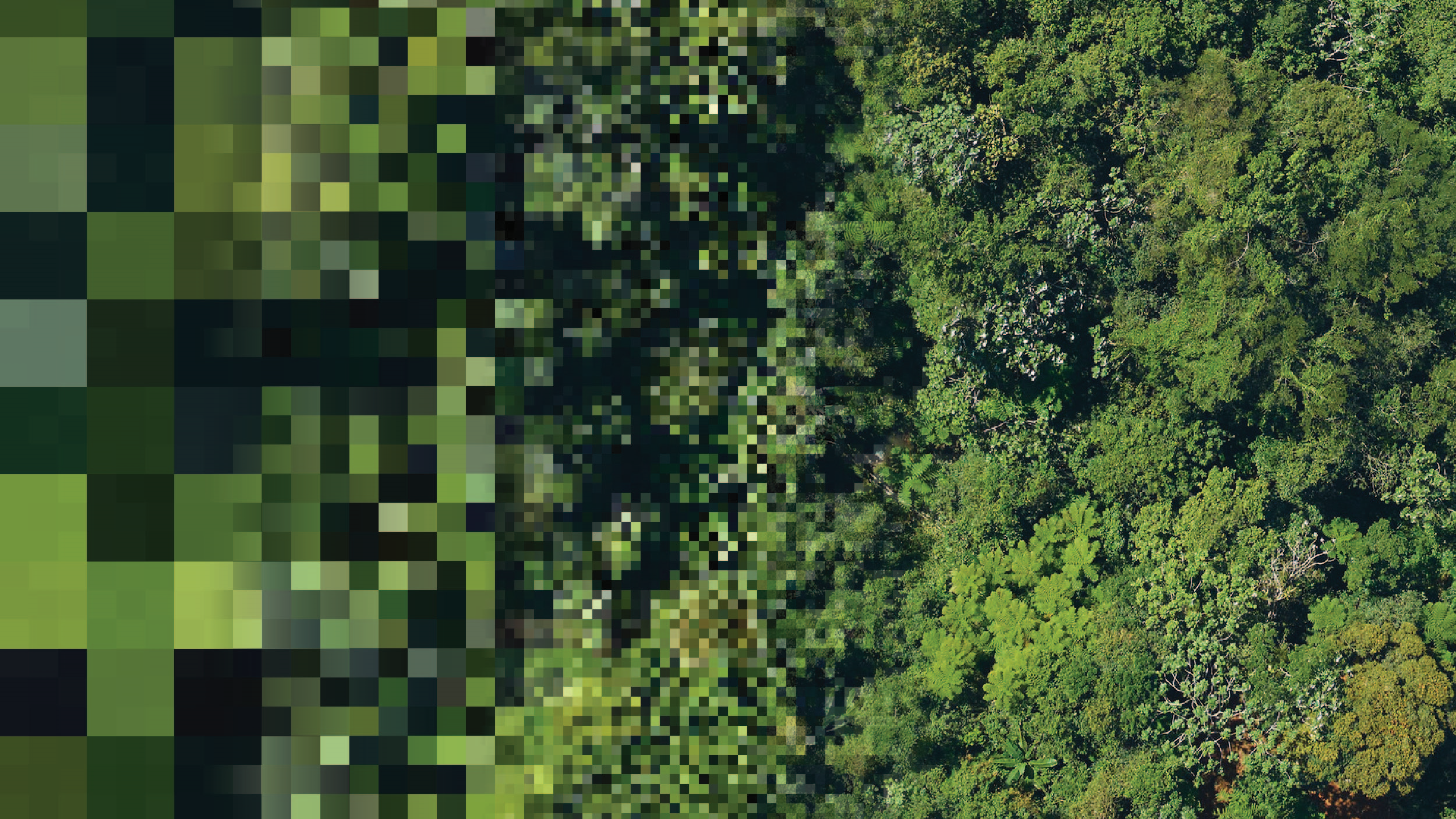 Forest pixel banner