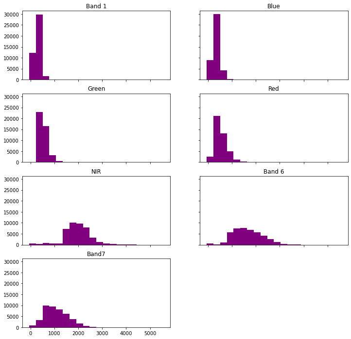 Landsat 8 histogram for each band.