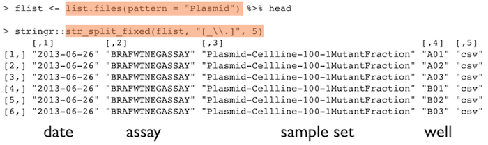 plasmid_delimiters_code