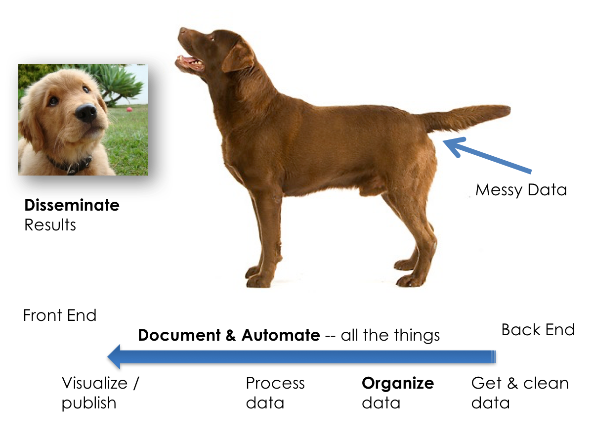 Open science flow chart 